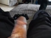 Female dildo my ass