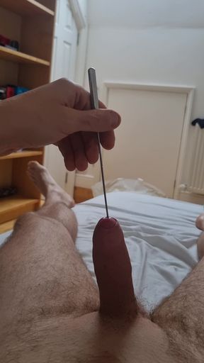 Long urethral sound