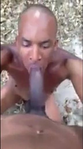 Big Dick Sucking Latino Goes for a Black Cock