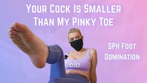 Your Cock Is Smaller Than My Pinky Toe SPH Foot Domination