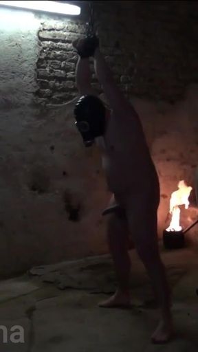 Roughly something in the slave eggs