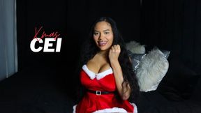 Christmas Gift CEI