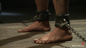 The Legend, the Present and the Future