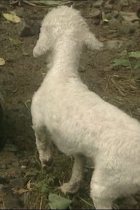 Hot Sex Outdoor - (full HD Experience - 60 Fps)