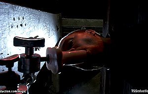 Shemale domme anal fucks bound man