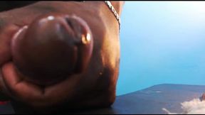 Tyson Mavs Private Show