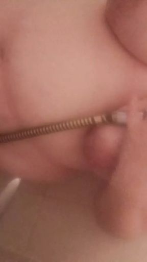 tits tied