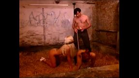 Master Timo dominates two sluts in the stable.