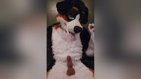 Elastrator Play With Angrybarks Good Boys Get Neutered!