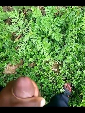 Haydenbbc