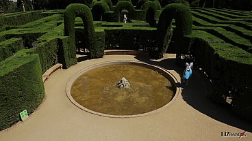 A Liz in Wonderland 1- Liz meets Blondie the Rabbit