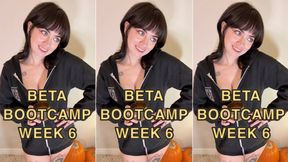 BETA BOOTCAMP WEEK 6