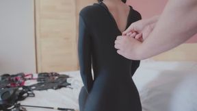 Complete domestication of domestic female dogs