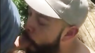 Bear cruising in the woods 7