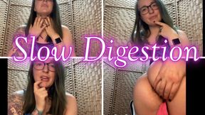 Slow Digestion