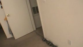 Yes! Super tits Ebony