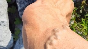 Tempest checking out the levy