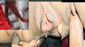 Asian sexy couple fuck