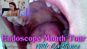 Endoscope Mouth Tour - Constance - HD 720 WMV