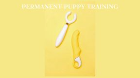 INSTANT PERMANENT PUPPY TRAINING - PET PLAY II [Puppy] [Pup Play] [Human Pup Fantasy] [Pet Play] [Pet Transformation] [Puppy Play] [Pet Puppy Fantasy]