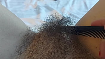 intimate haircut for my pussy