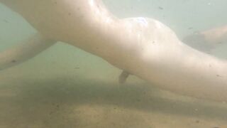 I jism just for the elation of experiencing free-for-all, nude on a public beach