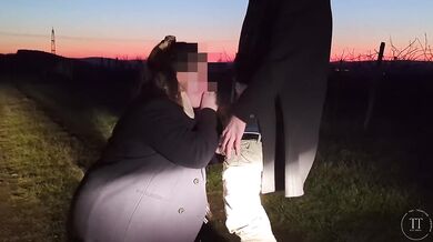 Blown off at sunset in the vineyard