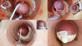 Cumfeti Dripping Creampie Compilation- Endoscopy view