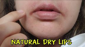 Dry Lips, Soft Pout – Liptease for the Real Ones