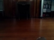 Solo Cumming