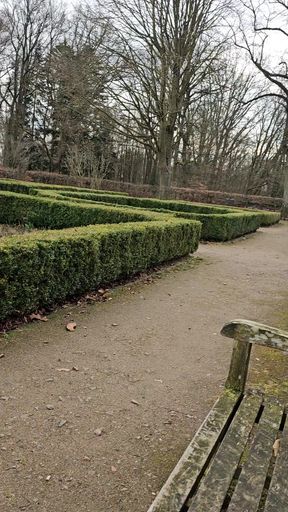 and eager to show off in the park