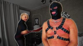 Cuckold Humiliation, no lover found for Her pleasure, only whipping for the loser husband by Goddess Samariel