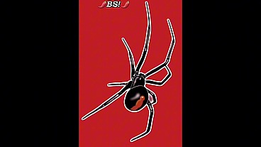 Devilish BJ 2