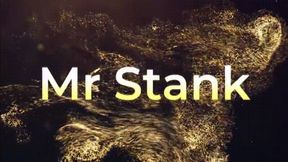 Mr Stank *wmv*