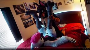 Duke Doberman On Blue Jay