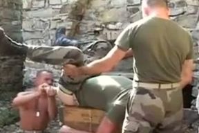 cheerful Veterans Day 2014