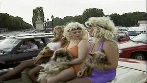 Dick Und Rund - the 'onko' - Sisters on Tour