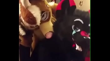 Fursuiters fuck in bathroom while bottom moans loudly