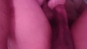 Warm My Milk Day 1648