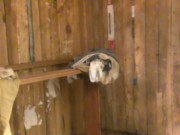 ZOMBIE WITH BIG DICK CAUGHT ON CAMERA