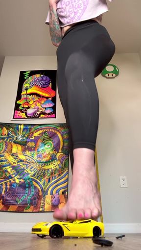 Smashing a Model Car with My Size 16 Feet