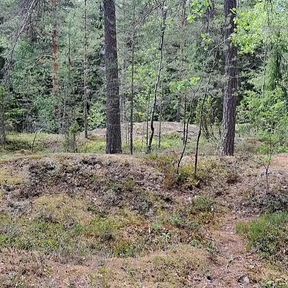 Naked Hike in Finnish Forrest