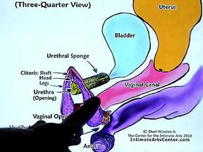 Squirting Tutorial 2 Mr Pussyliking