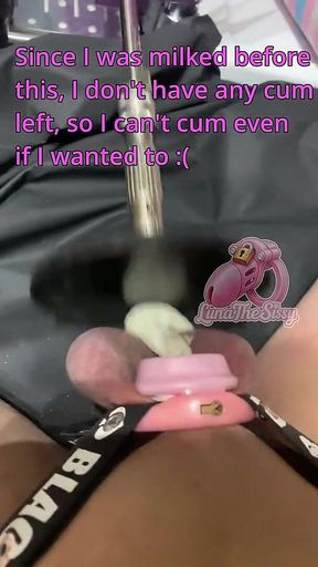 Sissy Plaps Her Balls with a High Speed Sex Machine