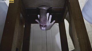 Milking my big cock under the chair: thick cumshot close-up