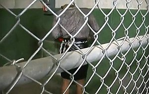 More born to be bound