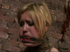 Insex 2003 07 08 Fire Iron Live Feed From May 1 2002