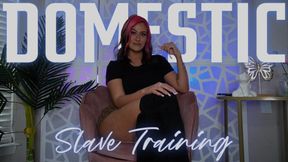 “Domestic Slave Training [TOILET FETISH]