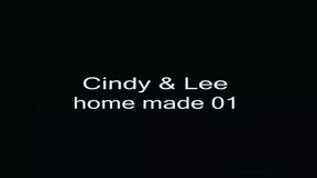 Cindy and Lee S First Homemade Submission