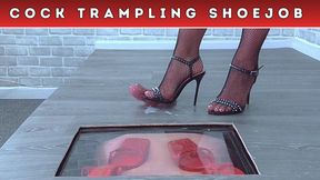 Stomping The Cum From Your Balls Under My Spikey Zara Stilettos & Fishnets (230) - Slave POV Cam -  Cock Trampling CBT Shoejob